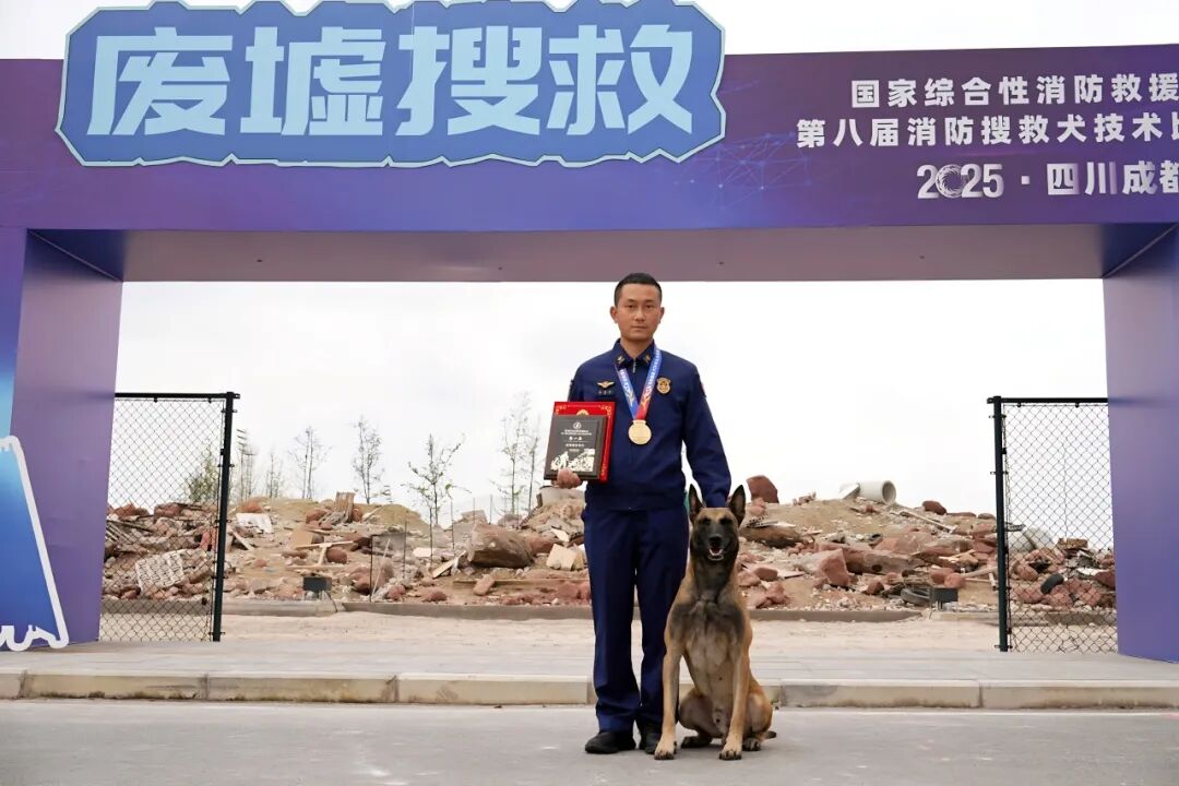 点击打开原图